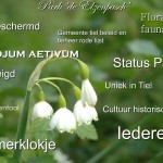 PowerPoint presentatie 10