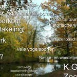 PowerPoint presentatie 11
