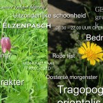 PowerPoint presentatie 3