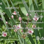 PowerPoint presentatie 4