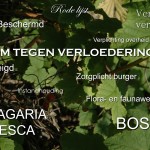PowerPoint presentatie 7