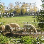 PowerPoint presentatie 8