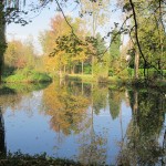De herst geeft ook vaak helder licht
